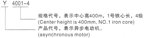 西安泰富西玛Y系列(H355-1000)高压YKS5602-10/800KW三相异步电机型号说明