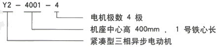 YR系列(H355-1000)高压YKS5602-10/800KW三相异步电机西安西玛电机型号说明